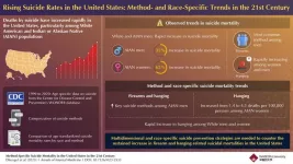 Suicide and race: Uncovering patterns underlying increasing suicide rates in the USA