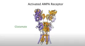 Super-chilled brain cell molecules reveal how epilepsy drug works