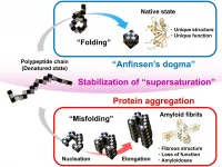 Supersaturation: The barrier between protein folding and misfolding