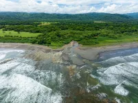 Surf spots are global ally in climate fight, study finds