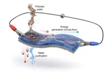 Surge in nitrous oxide abuse: New guidelines to help clinicians recognise cases and prevent spinal cord damage 2