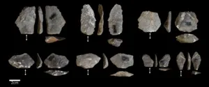 Surprising similarities in stone tools of early humans and monkeys 2