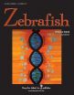 Surprising teaching tool in K-12 science education -- Zebrafish research