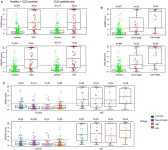 Surveillance imaging and GAAD/GALAD scores for detection of hepatocellular carcinoma in patients with chronic hepatitis