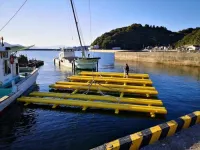 Sustaining oyster farming with sturdier rafts