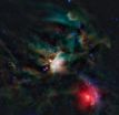 Sweet building blocks of life found around young star