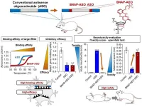 Sweet move: a modified sugar enhances antisense oligonucleotide safety and efficacy