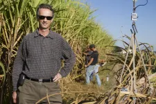 Sweet success: CABBI demonstrates first precision breeding of sugarcane with CRISPR-Cas9