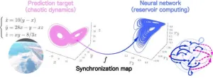 Synchronization in neural nets: Mathematical insight into neuron readout drives significant improvements in prediction accuracy