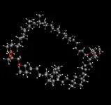 Synthesis of one of the most abundant organic lipids elucidates its structure