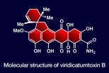 Synthesis produces new antibiotic 2