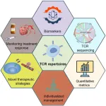 T-cell receptor repertoire analysis in the context of transarterial chemoembolization synergy with systemic therapy for hepatocellular carcinoma