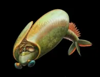 Taco-shaped arthropod from Royal Ontario Museum’s Burgess Shale fossils gives new insights into the history of the first mandibulates
