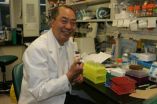 Tak Mak study in Cancer Cell maps decade of discovery to potential anticancer agent