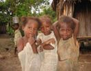 Taking bushmeat off the menu could increase child anemia, study finds