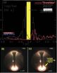 Taming thermonuclear plasma with a snowflake