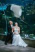 Tampa Wedding Photographer Discusses Tips about Weddings in Tampa