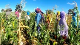 Tanzanian farmers boost diets with sustainable methods