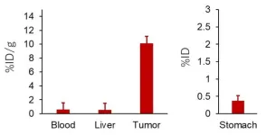 Targeted cancer therapies: Getting radioactive atoms to accumulate in tumors