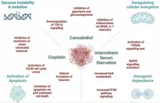 Targeting carbohydrate metabolism in colorectal cancer: Synergy of therapies