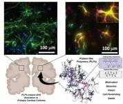 Targeting undruggable proteins promises new approach for treating neurodegenerative diseases