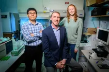 Team discovers rules for breaking into Pseudomonas