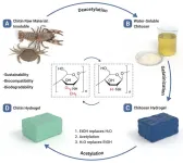 Team fabricates chitin hydrogel via chemical transformation of chitosan