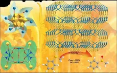 Team synthesizes a new polyoxometalate-based metal-organic complex