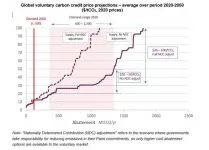 Ten-fold increase in carbon offset cost predicted