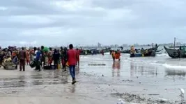 Tens of thousands of endangered sharks and rays caught off Congo 3