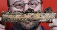 Termite genome lays roadmap for greener control measures