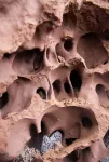 Termite mounds reveal secret to creating ‘living and breathing’ buildings that use less energy