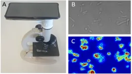 Testing antibiotic resistance with a fast, cheap, and easy method