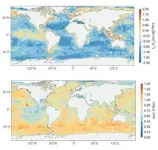 Texas A&M-led team creates first global map of seafloor biodiversity activity 2