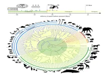 Texas A&M research redefines mammalian tree of life