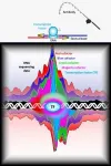 The 3Rs of the genome: Reading, writing, and regulating