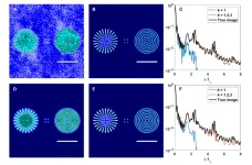 The best of both worlds: a new algorithm fuses quantum and classical information for high-quality imaging