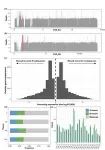 The Chinese team completed the genome assembly of Cornus wilsoniana 3