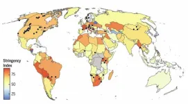 The corona lockdowns changed the behavior of wild animals around the world