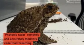 The device that can remotely and accurately monitor breathing: as tested on cane toads 3