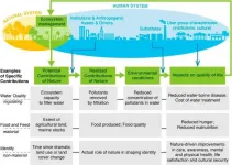 The downward trend: Natures decline risks our quality of life