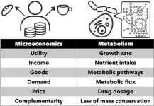 The economic life of cells