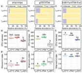 The effects of primer pairs, PCR conditions, and peptide nucleic acid clamps on plant root fungal diversity assessment