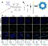 The effects of protein corona on the interactions of AIE-visualized liposomes with ce