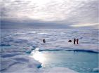 The emergence of modern sea ice cover in the Arctic Ocean, 2.6 million years ago 2