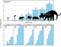 The evidence is mounting: humans were responsible for the extinction of large mammals 3