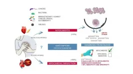 The first blood biomarker to distinguish between myocarditis and acute myocardial infarction