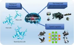 The future of robotics: Brain-inspired technologies paving the way