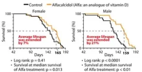 The gender gap in life expectancy: are eggs and sperm partly responsible? 3