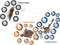 The genetic structures of closely related dragonflies in Yaeyama and Taiwan islands